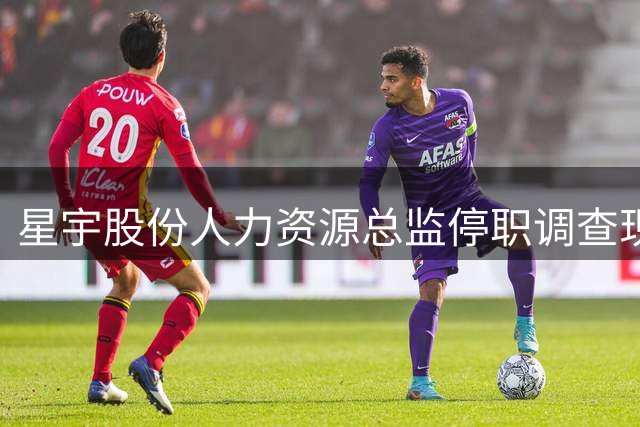 星宇股份人力资源总监停职调查现罗生门 虚构职位被指推诿责任